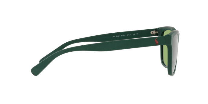 Polo Ralph Lauren PH4167 5421/2  